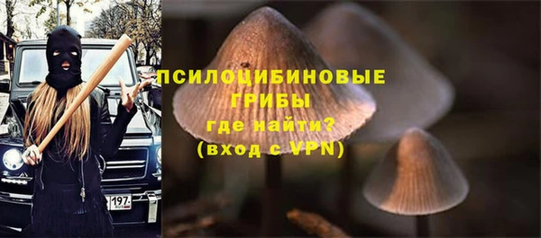 PSILOCYBIN Алзамай