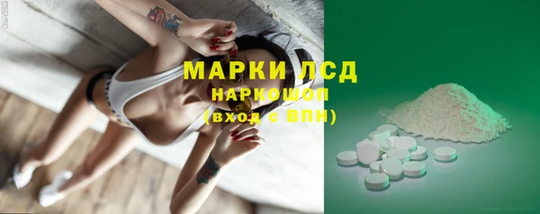 PSILOCYBIN Алзамай