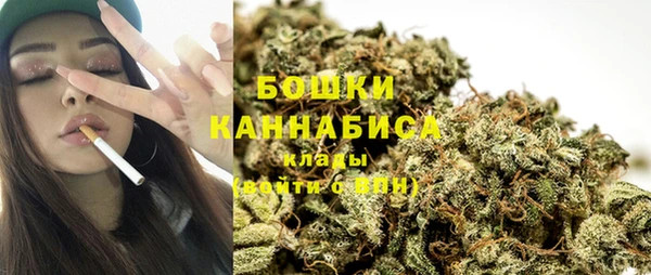 PSILOCYBIN Алзамай