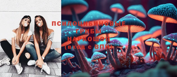 кокс Алексин