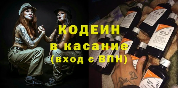 PSILOCYBIN Алзамай