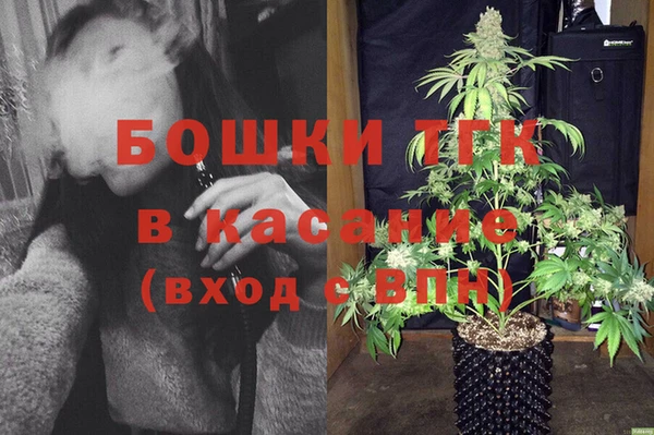 PSILOCYBIN Алзамай
