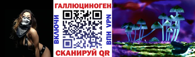 Псилоцибиновые грибы MAGIC MUSHROOMS  hydra ссылки  Харовск  закладки 
